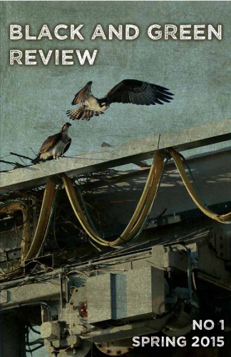 ﻿بررسی سیاه و سبز