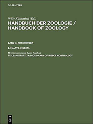 ﻿فرهنگ لغت مورفولوژی حشرات