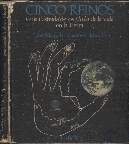 ﻿پنج پادشاهی