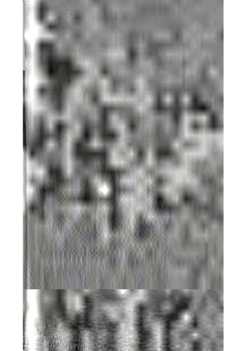 ﻿درآمدی بر فلسفه استقراء و احتمال