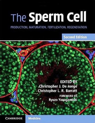 ﻿سلول اسپرم - تولید، بلوغ، لقاح، بازسازی