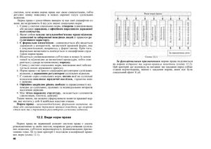 ﻿نظریه دولت و قانون