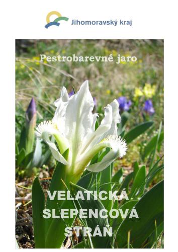 ﻿بهار رنگارنگ - دامنه تپه کنگلومرای Velatica