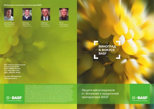 ﻿محافظت از تاکستان ها در برابر بیماری ها و داروهای BASF