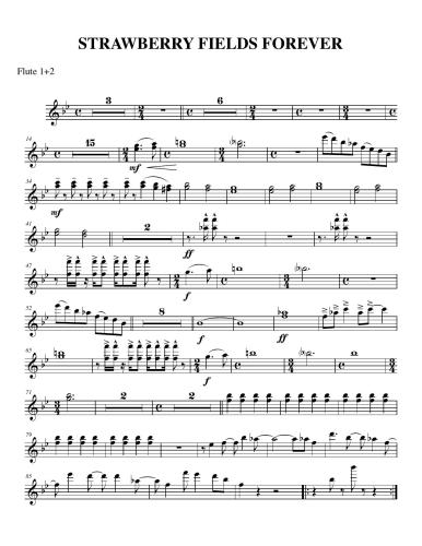 ﻿بیتلز. مزارع توت فرنگی برای همیشه برای فلوت