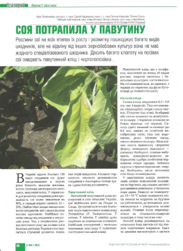 ﻿سویا در وب گرفتار شد