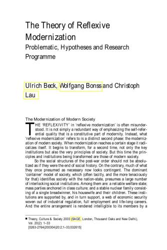 ﻿نظریه مدرنیزاسیون بازتابی