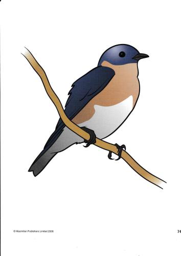 ﻿دنیای انگلیسی 1. فلش کارت. واحد 6