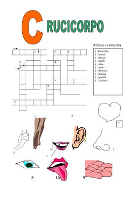 ﻿بدن صلیبی