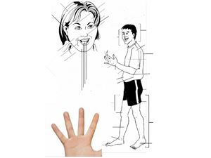 نقشه ذهنی بدن