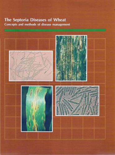 ﻿بیماری‌های سپتوریا گندم: مفاهیم و روش‌های مدیریت بیماری