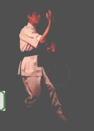 یون چون کوان 李 积 慧.