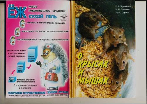 ﻿درباره موش ها و موش ها