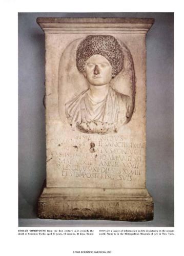 ﻿جمعیت انسانی