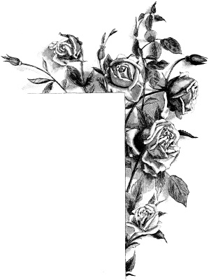 ﻿طرح های گل قدیمی