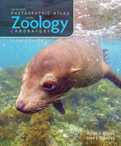 ﻿اطلس عکاسی ون دی گراف برای آزمایشگاه جانورشناسی