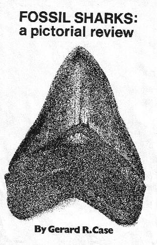 فسیل کوسه ها: نقد تصویری