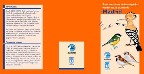 ﻿پرندگان معمولی در فضای سبز شهر مادرید