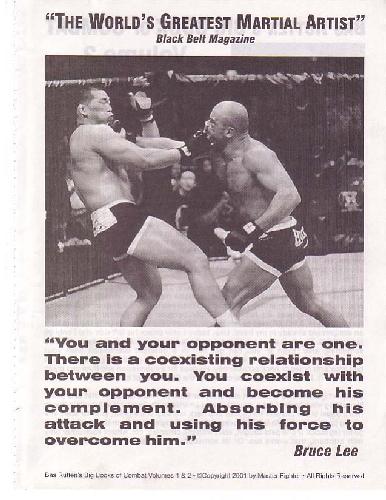 کتاب بزرگ مبارزه با Bas Rutten