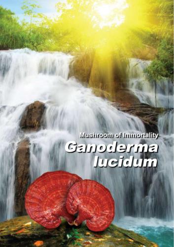 ﻿قارچ جاودانگی Ganoderma Lucidum