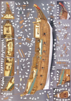 ﻿پیناس طوطی