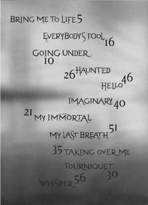 کتاب ترانه سقوط Evanescence