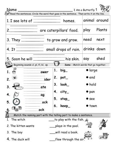 ﻿من یک پروانه هستم