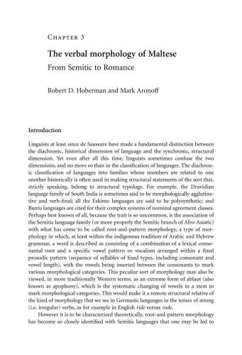 ﻿ریخت شناسی کلامی مالتی