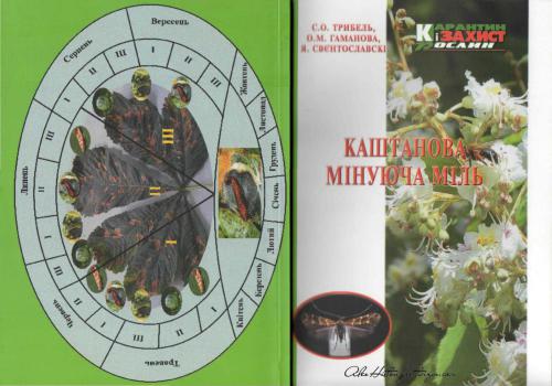 ﻿شب پره شاه بلوط