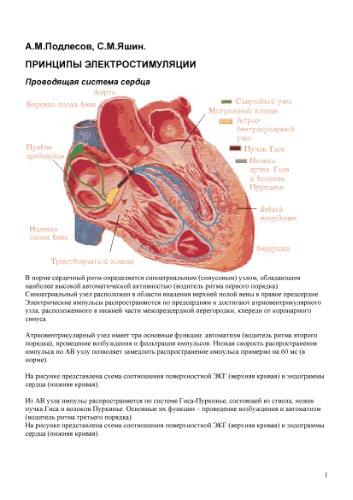 ﻿اصول تحریک الکتریکی
