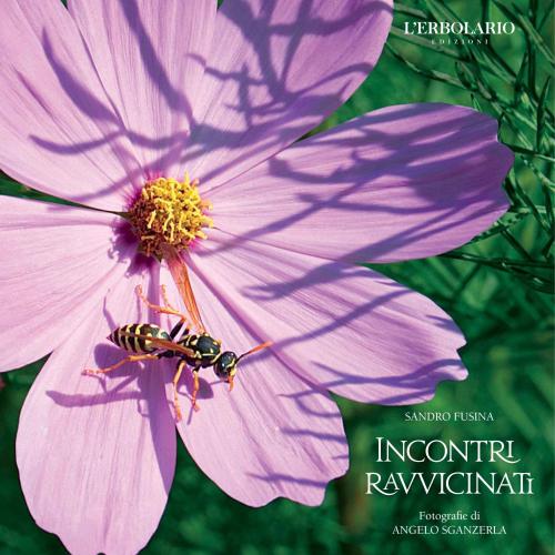 ﻿Incontri ravvicinati