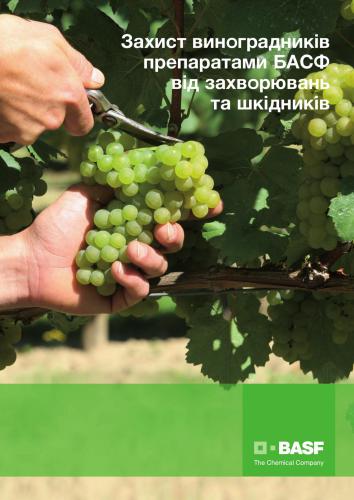 ﻿حفاظت از تاکستان ها با آماده سازی BASF در برابر بیماری ها و آفات