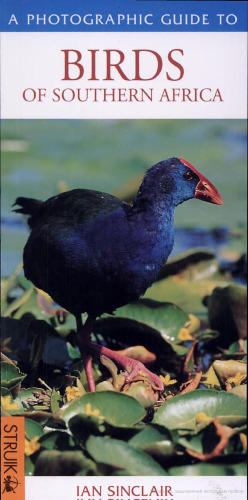 ﻿راهنمای عکاسی پرندگان آفریقای جنوبی