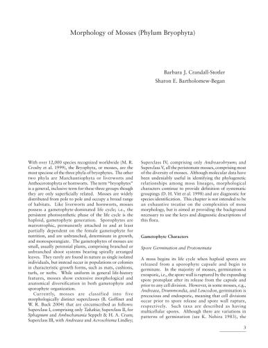 ﻿مورفولوژی خزه ها (Phylum Bryophyta)