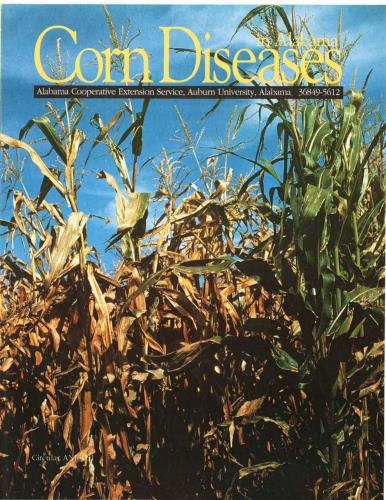 ﻿بیماری های ذرت در آلاباما