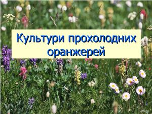 ﻿فرهنگ گلخانه های خنک + فرهنگ های خانواده Gesner