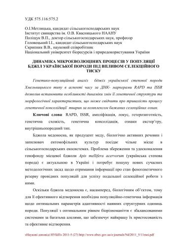 ﻿دینامیک فرآیندهای ریز تکاملی در جمعیت زنبورهای نژاد اوکراینی تحت تأثیر فشار انتخاب
