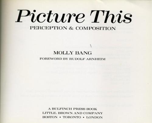 ﻿تصویر این ادراک و ترکیب