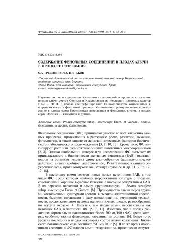 ﻿محتوای ترکیبات فنلی در میوه آلو گیلاس در هنگام رسیدن