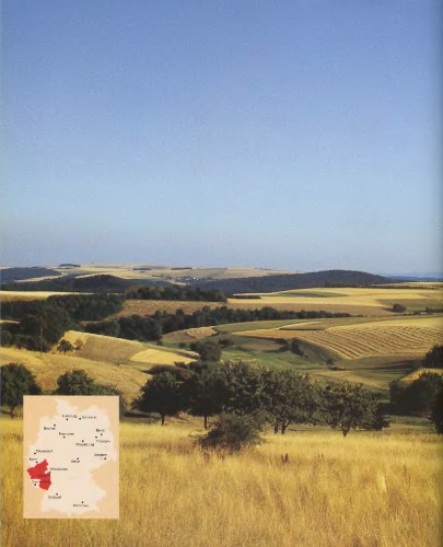 ﻿راینلاند-فالتز (غذاهای آلمانی)