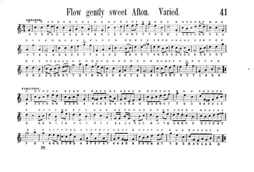 ﻿معلم فلوتینا و آکاردئون (قسمت سوم)