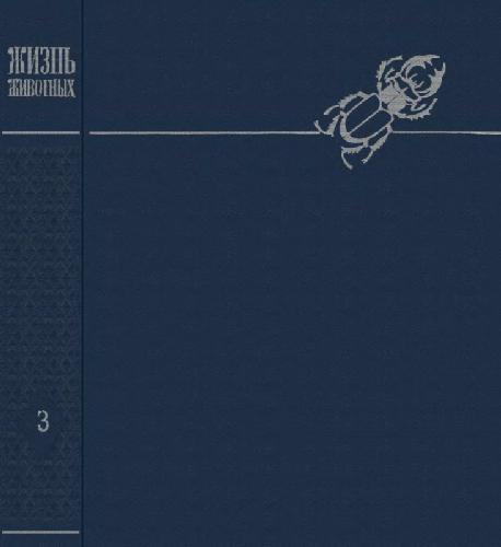 ﻿زندگی حیوانات