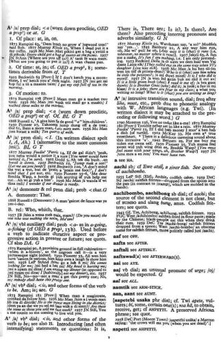 ﻿فرهنگ لغت انگلیسی جامائیکا