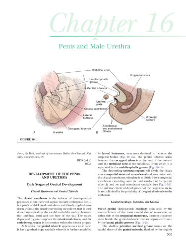 ﻿اطلس آناتومی جراحی هینمن