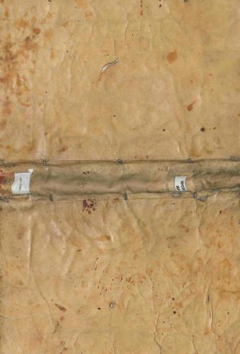 ﻿لوسرنا ایندیکا