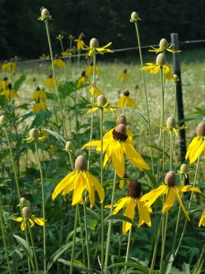 ﻿جاوا: مرجع کامل (فقط کد نمونه)