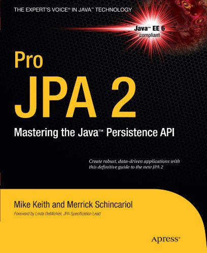 ﻿Pro JPA 2 تسلط بر Java Persistence API