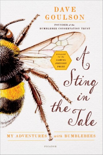 داستان در داستان: ماجراهای من با Bumblebees