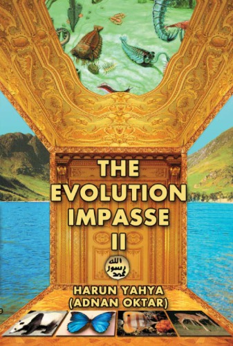 ﻿بن بست تکامل II