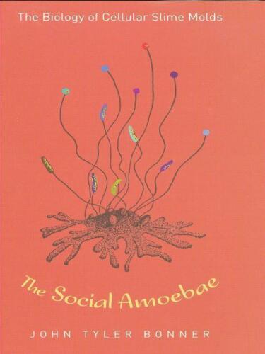 ﻿آمیب اجتماعی: زیست شناسی قالب های لجن سلولی